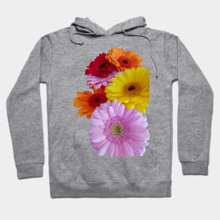 Gerberas Floral Photo Hoodie